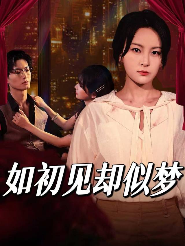 如初见却似梦封面