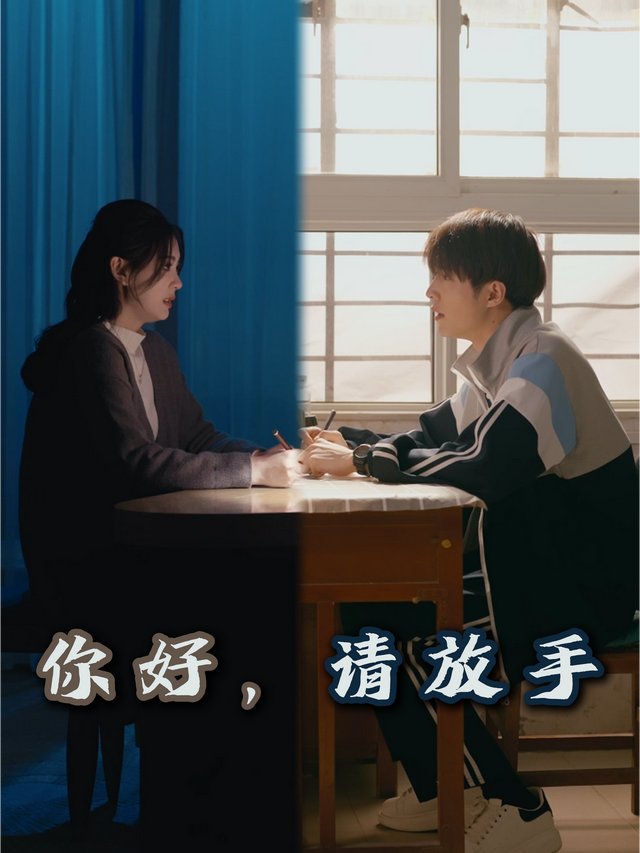 你好,请放手封面