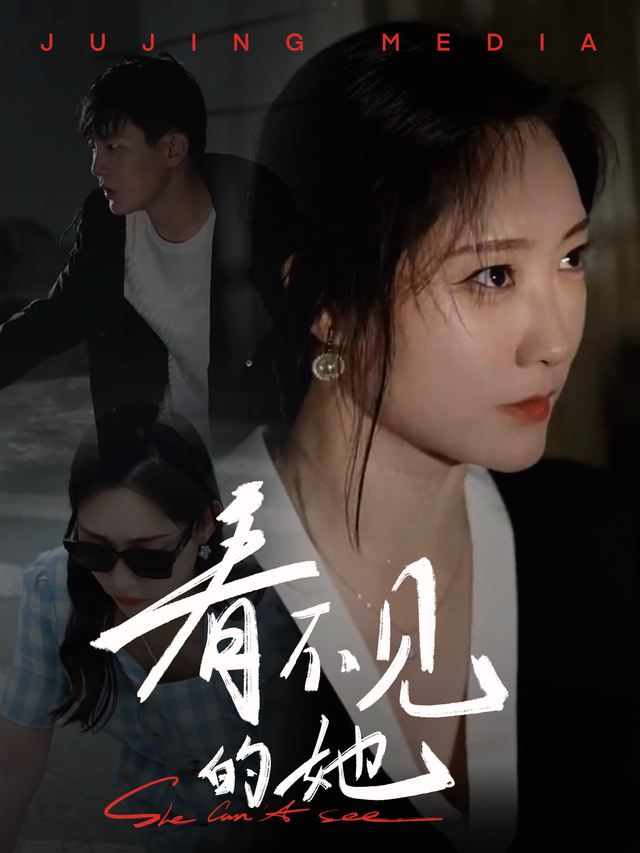 看不见的她封面