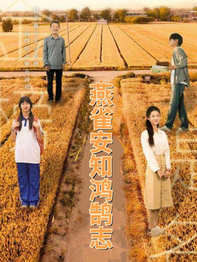 燕雀安知鸿鹄志封面
