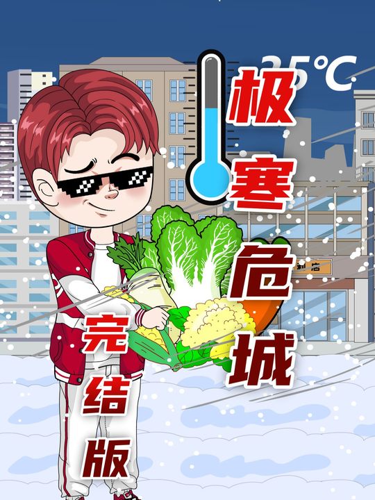 极寒危城封面