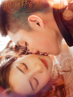 暖婚轻宠妻封面
