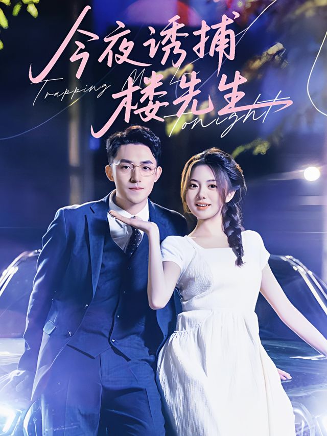 今夜诱捕楼先生封面