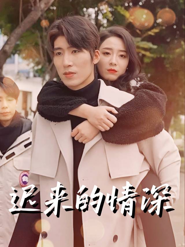 迟来的情深封面