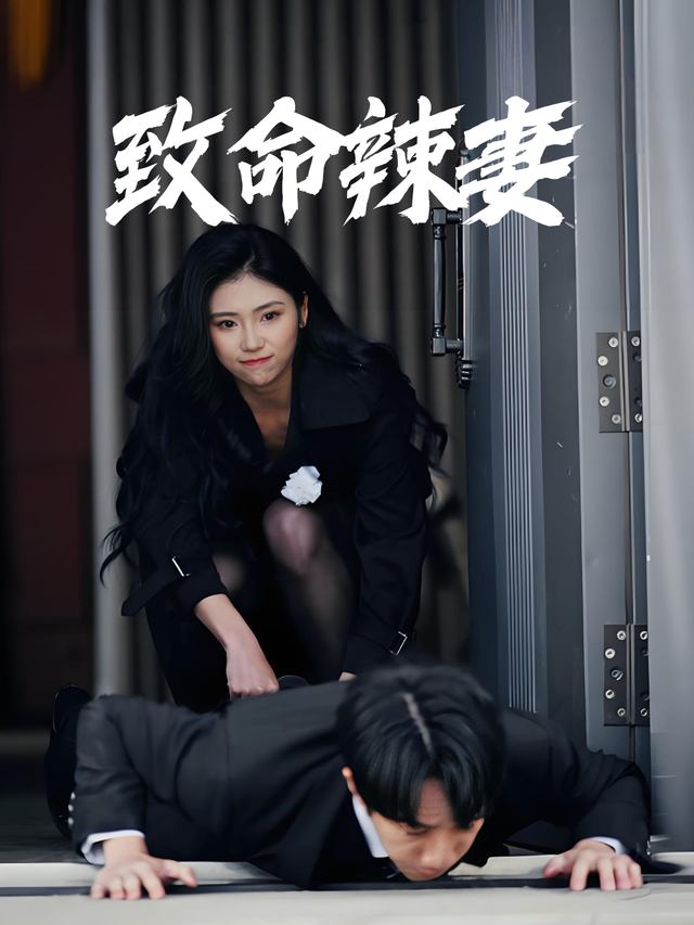 致命辣妻封面