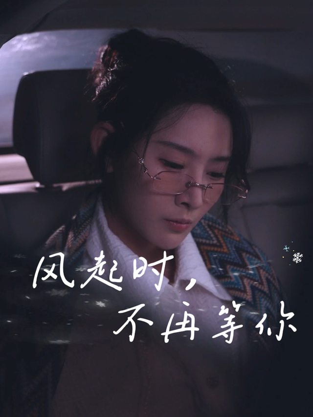 风起时,不再等你封面