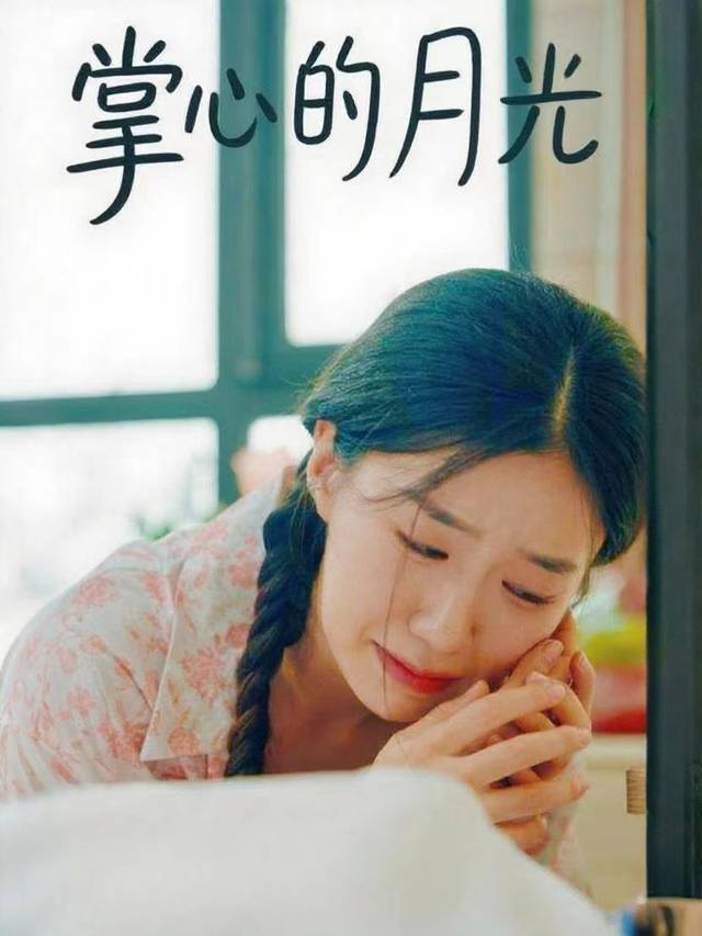 掌心的月光封面