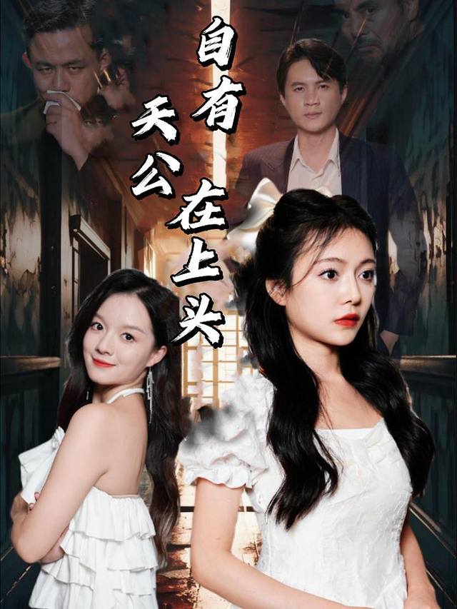 自有天公在上头封面