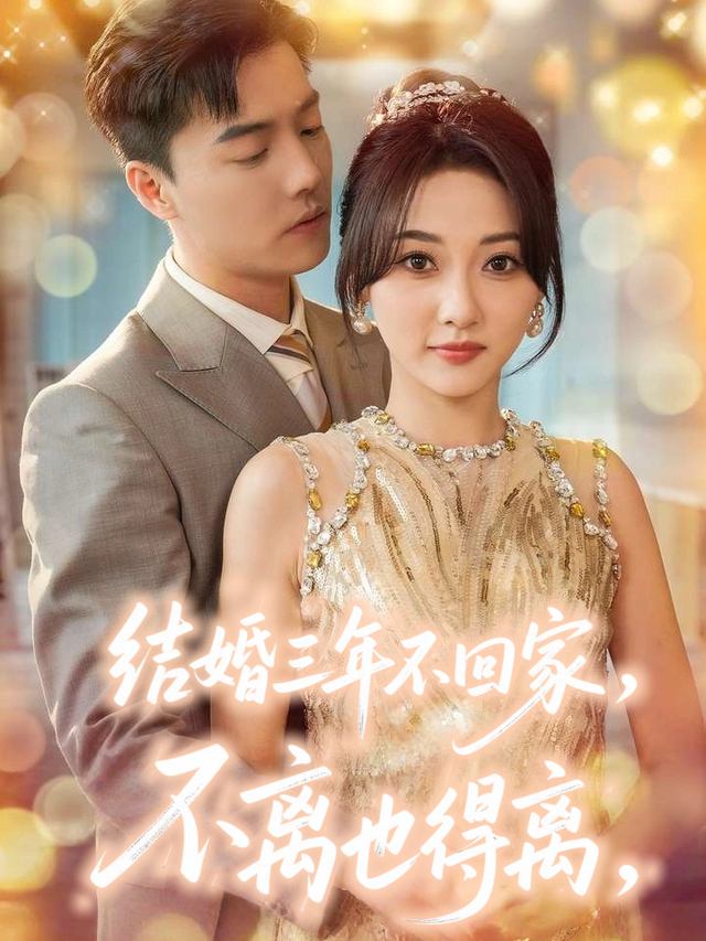 结婚三年不回家,不离也得离封面