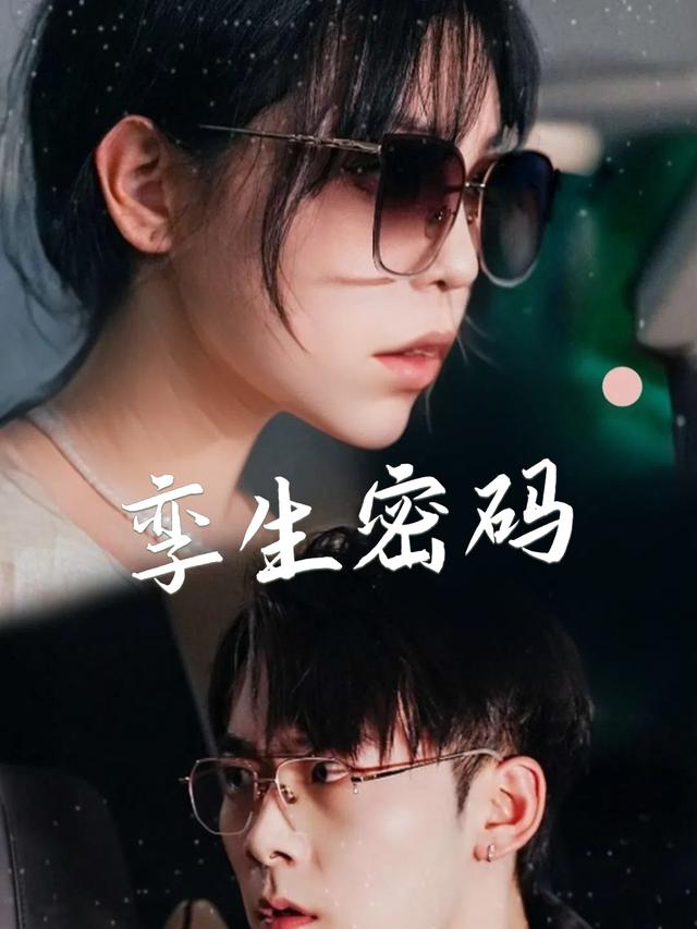 孪生密码封面
