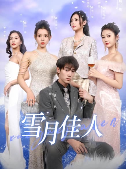 雪月佳人封面