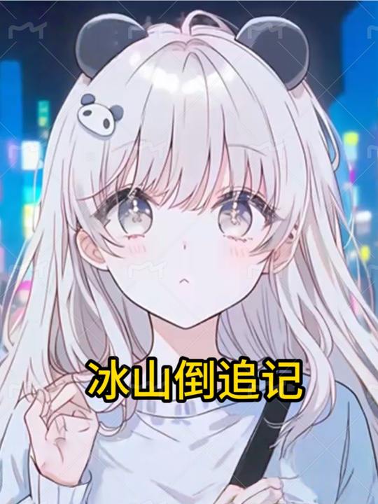 冰山倒追记封面
