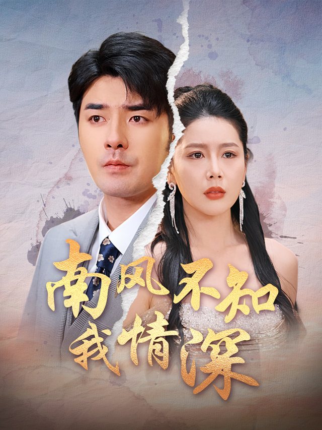 南风不知我情深封面