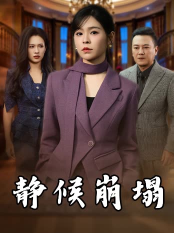 静候崩塌封面