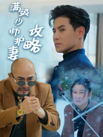 满级少帅护妻攻略封面