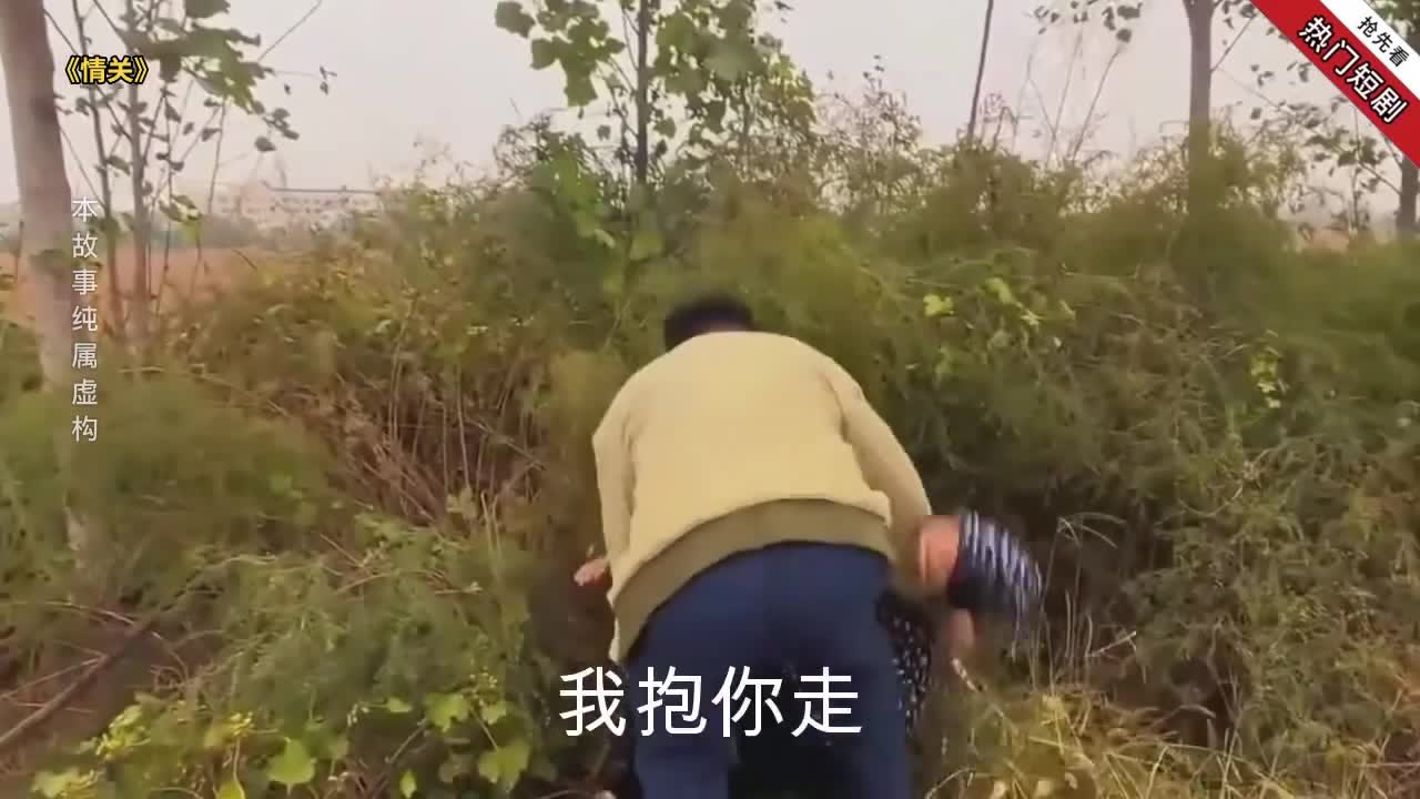 情关封面