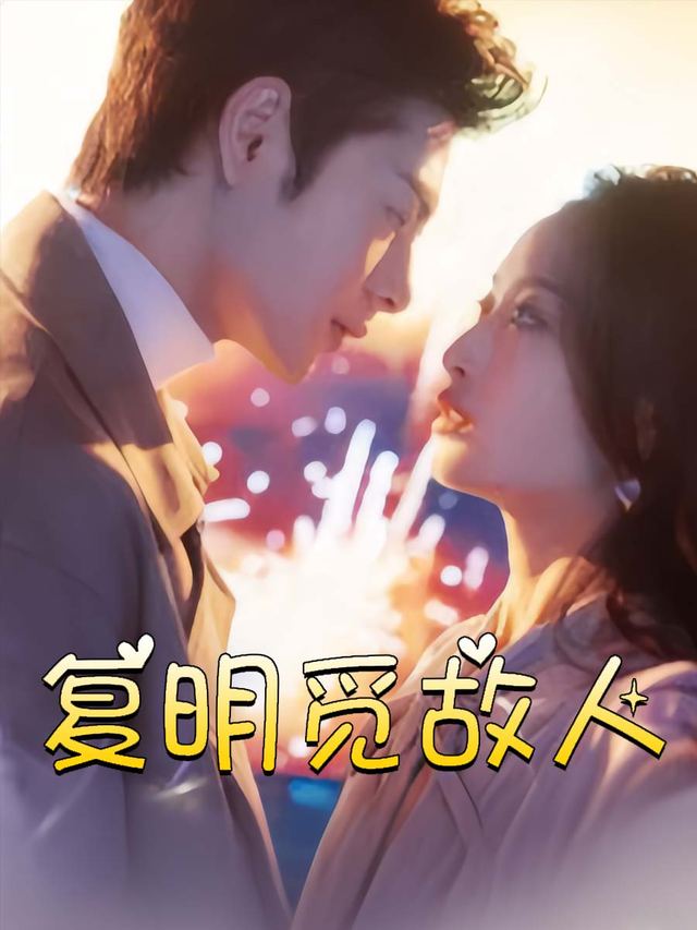 复明觅故人封面