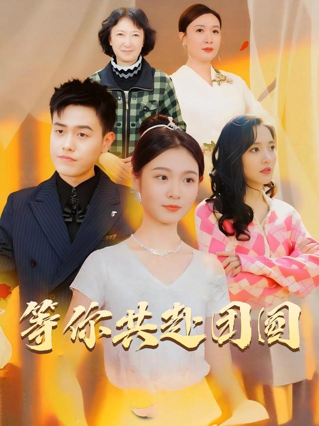 等你共赴团圆封面