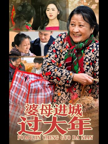 婆母进城过大年封面