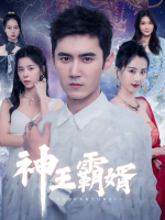 神王霸婿封面