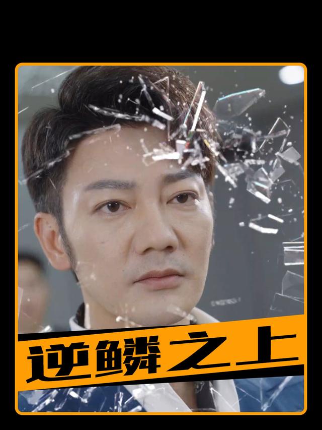 逆鳞之上封面