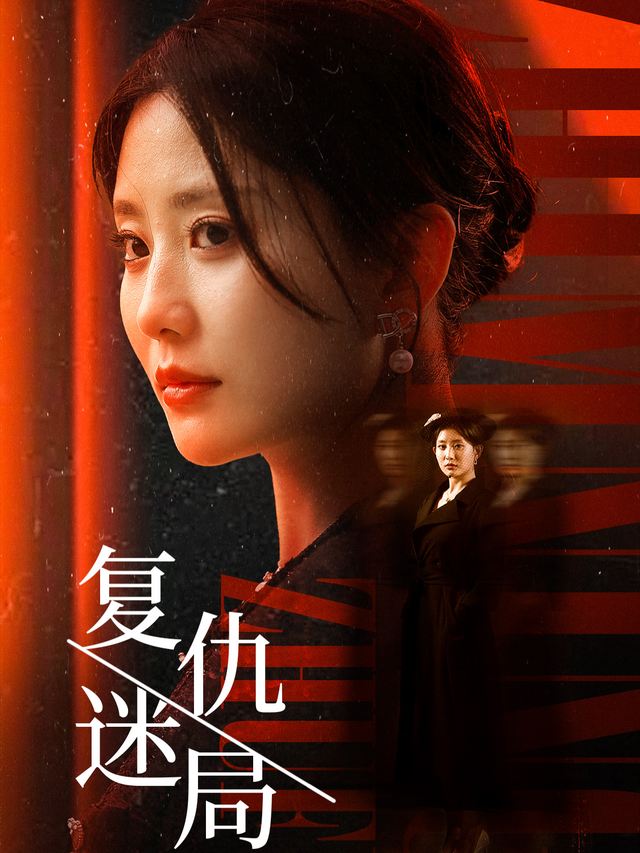 复仇迷局封面