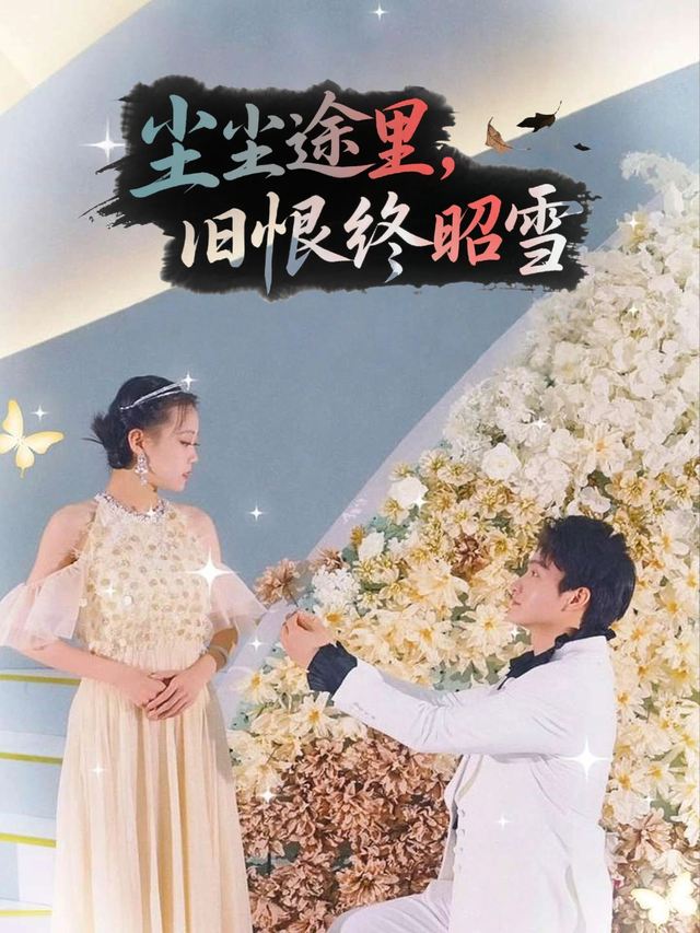 尘途里,旧恨终昭雪封面