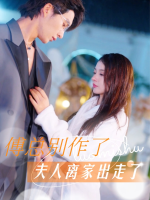 傅总别作了夫人离家出走了封面