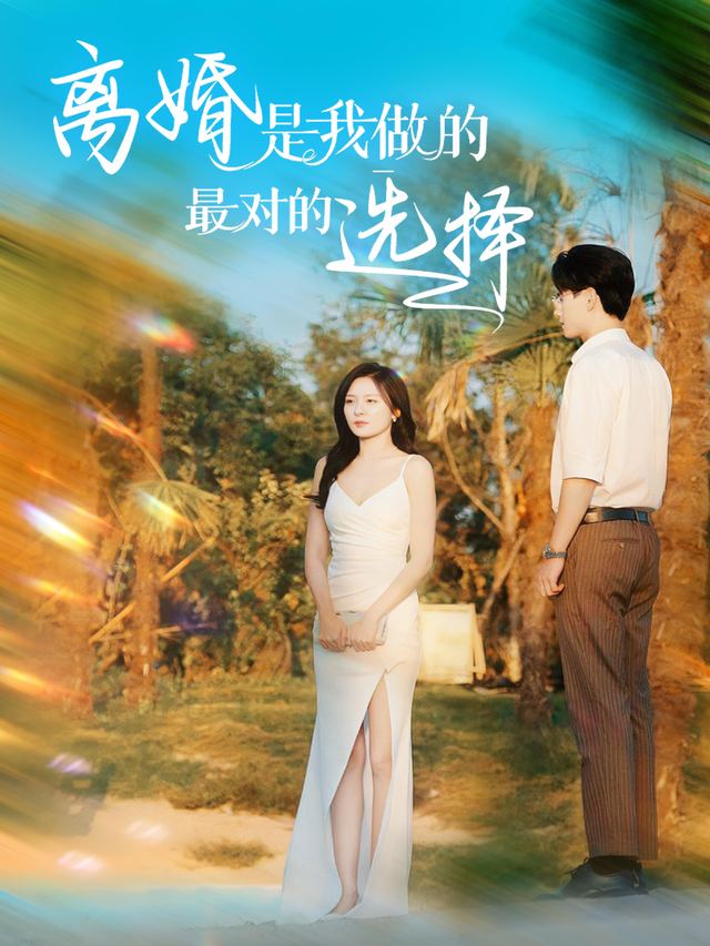 离婚是我做的最对的选择封面