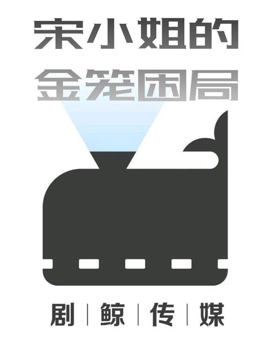 宋小姐的金笼困局封面