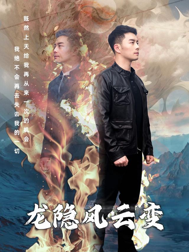龙隐风云变封面