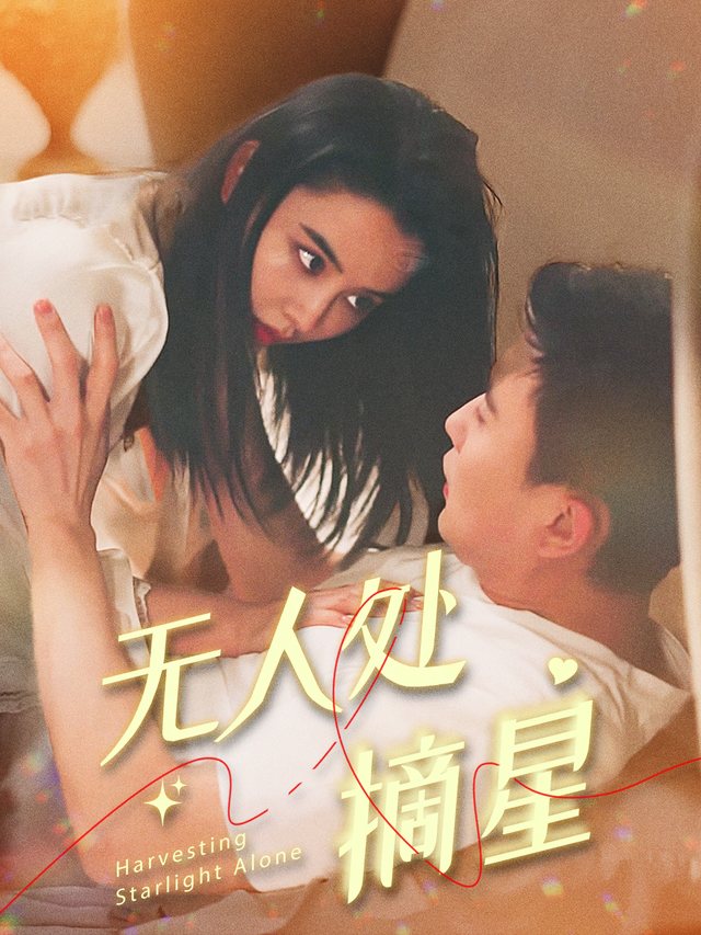 无人处摘星封面