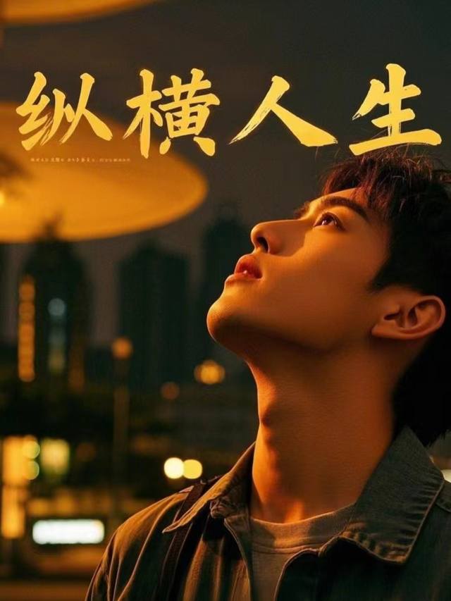 纵横人生封面