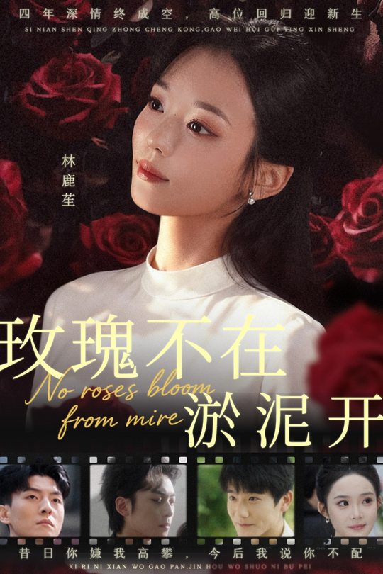 玫瑰不在淤泥开封面