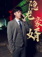 隐龙豪婿封面
