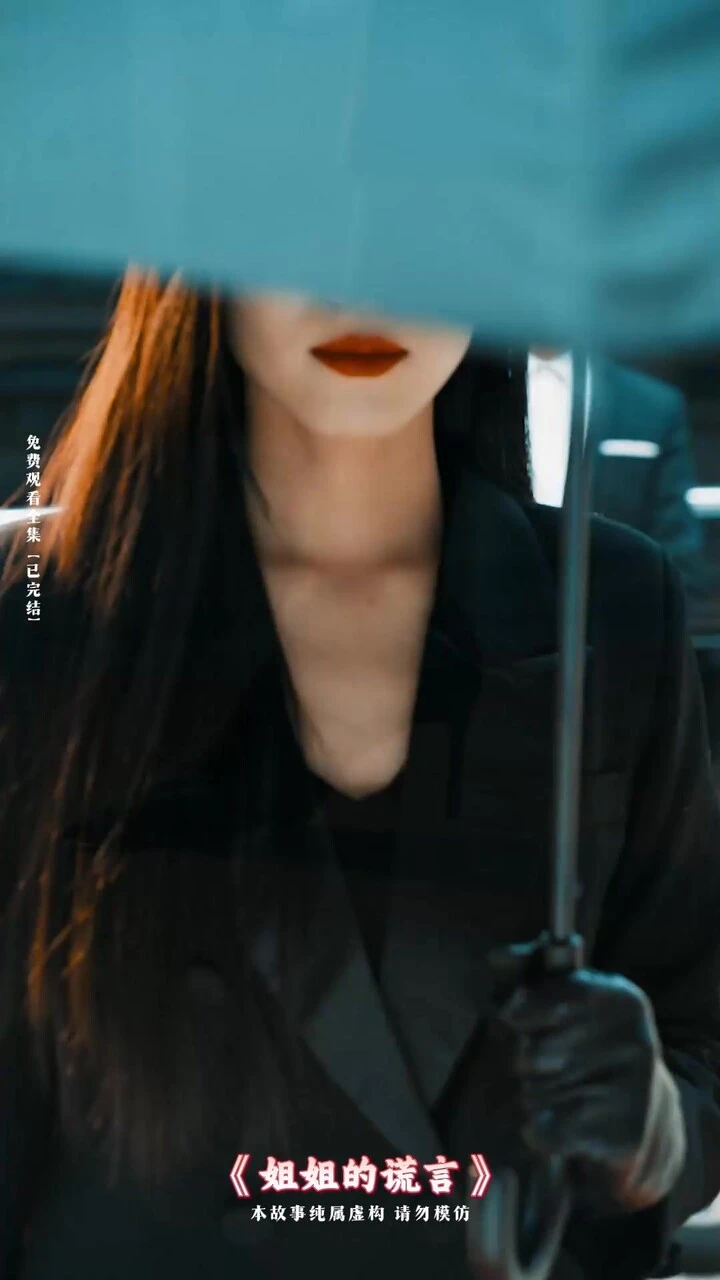 姐姐的谎言封面