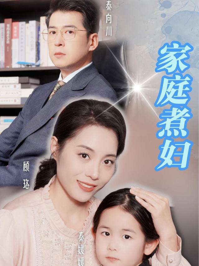 家庭煮妇封面