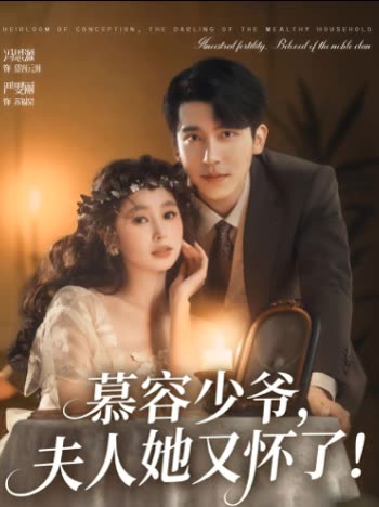 慕容少爷,夫人她又怀了!封面