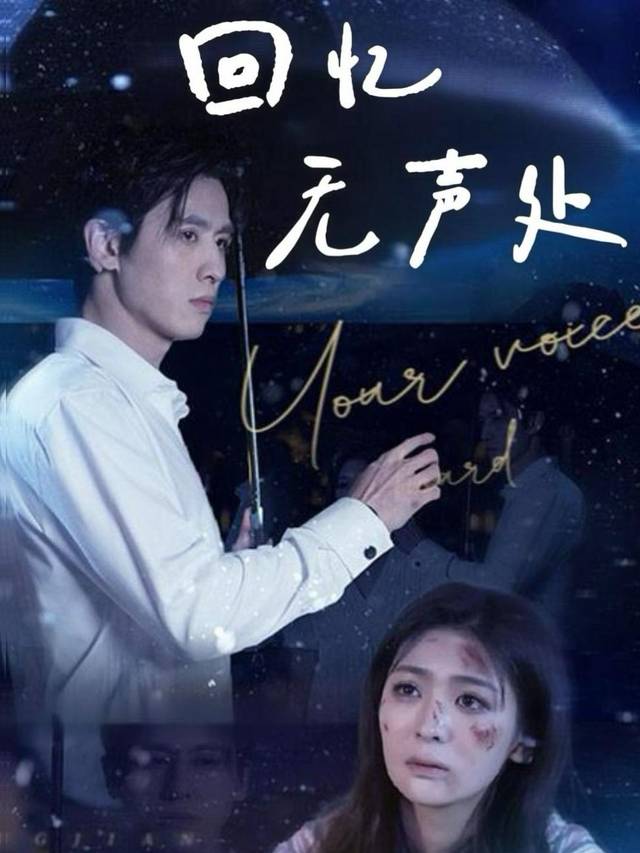 回忆无声处封面