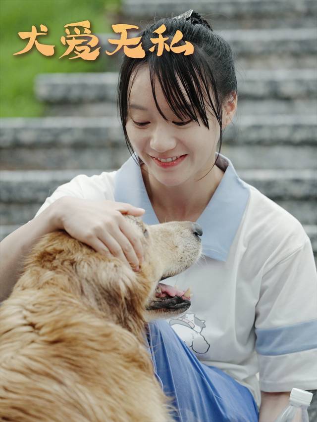 犬爱无私封面