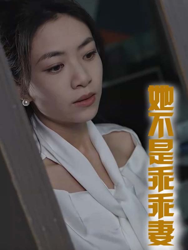 她不是乖乖妻封面