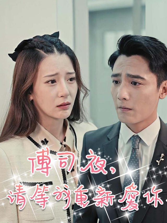傅司夜,请等我重新爱你封面