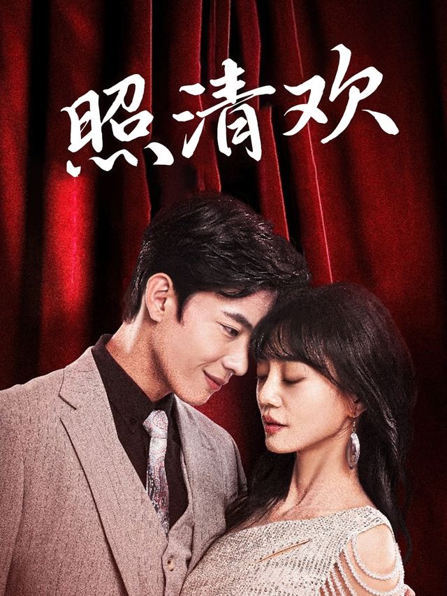 照清欢封面