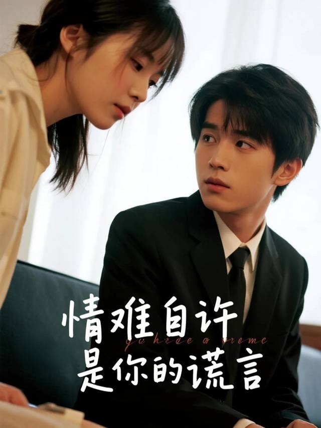 情难自许是你的谎言封面