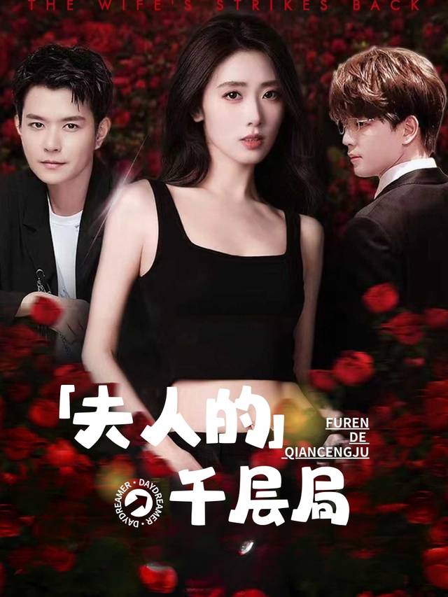 夫人的千层局封面
