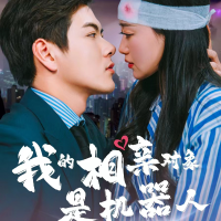 我的相亲对象是机器人封面