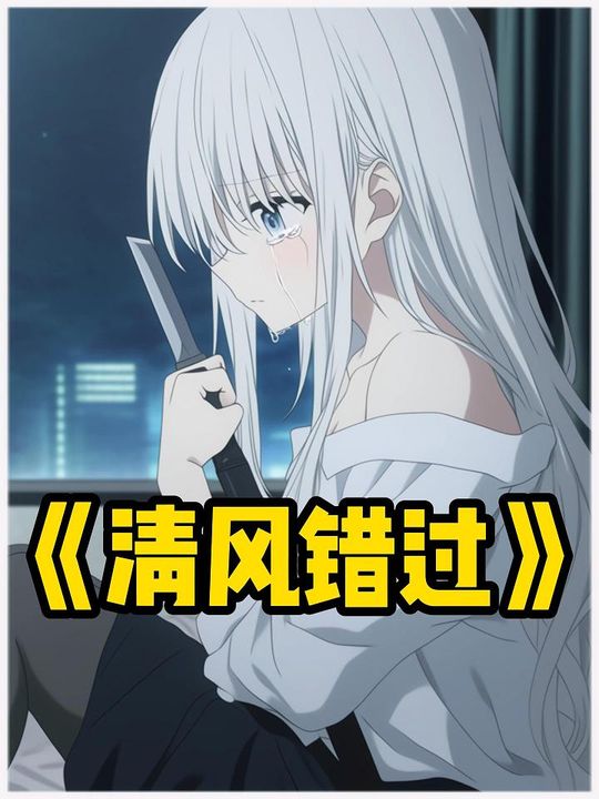 清风错过封面
