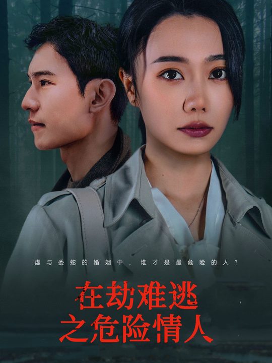 危险的宿命之爱封面