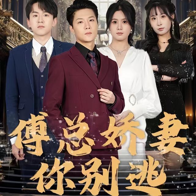 傅总你的妻子跑了封面