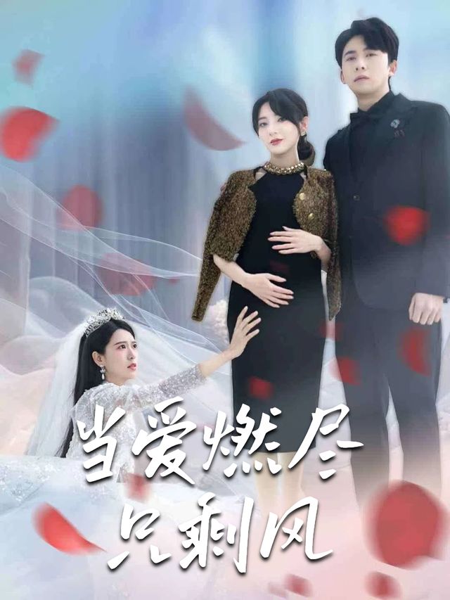 当爱燃尽只剩风封面